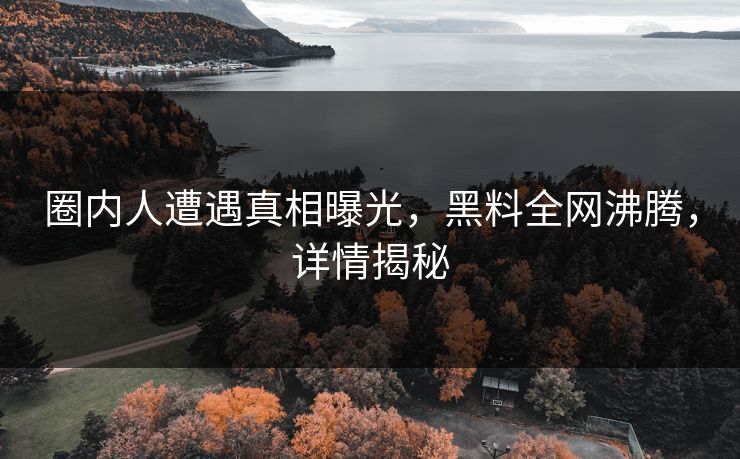 圈内人遭遇真相曝光，黑料全网沸腾，详情揭秘