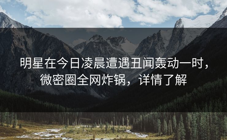 明星在今日凌晨遭遇丑闻轰动一时，微密圈全网炸锅，详情了解