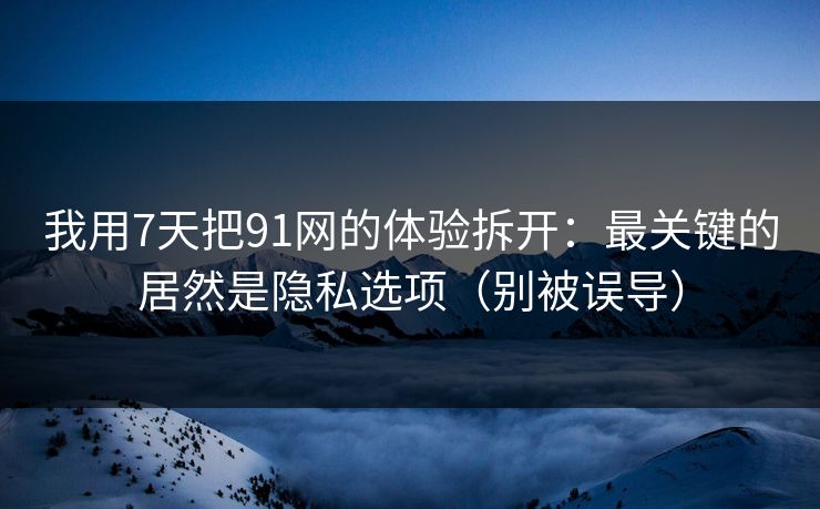 我用7天把91网的体验拆开：最关键的居然是隐私选项（别被误导）  第1张